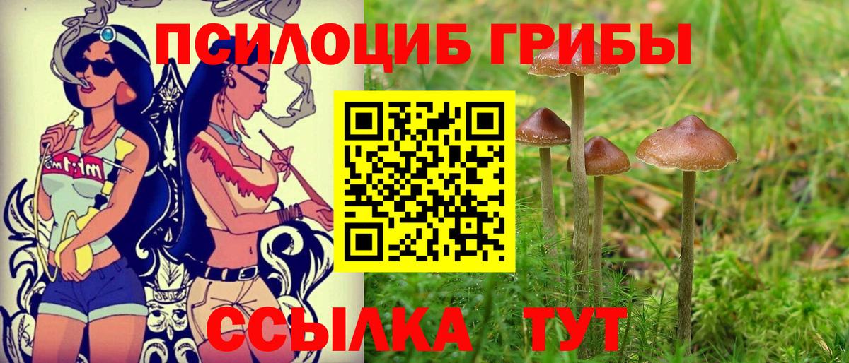 Псилоцибиновые грибы ЛСД Лыткарино