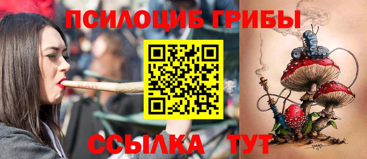 Псилоцибиновые грибы Psilocybe  Псилоцибиновые грибы мухоморы  Лыткарино  Вход с VPN 